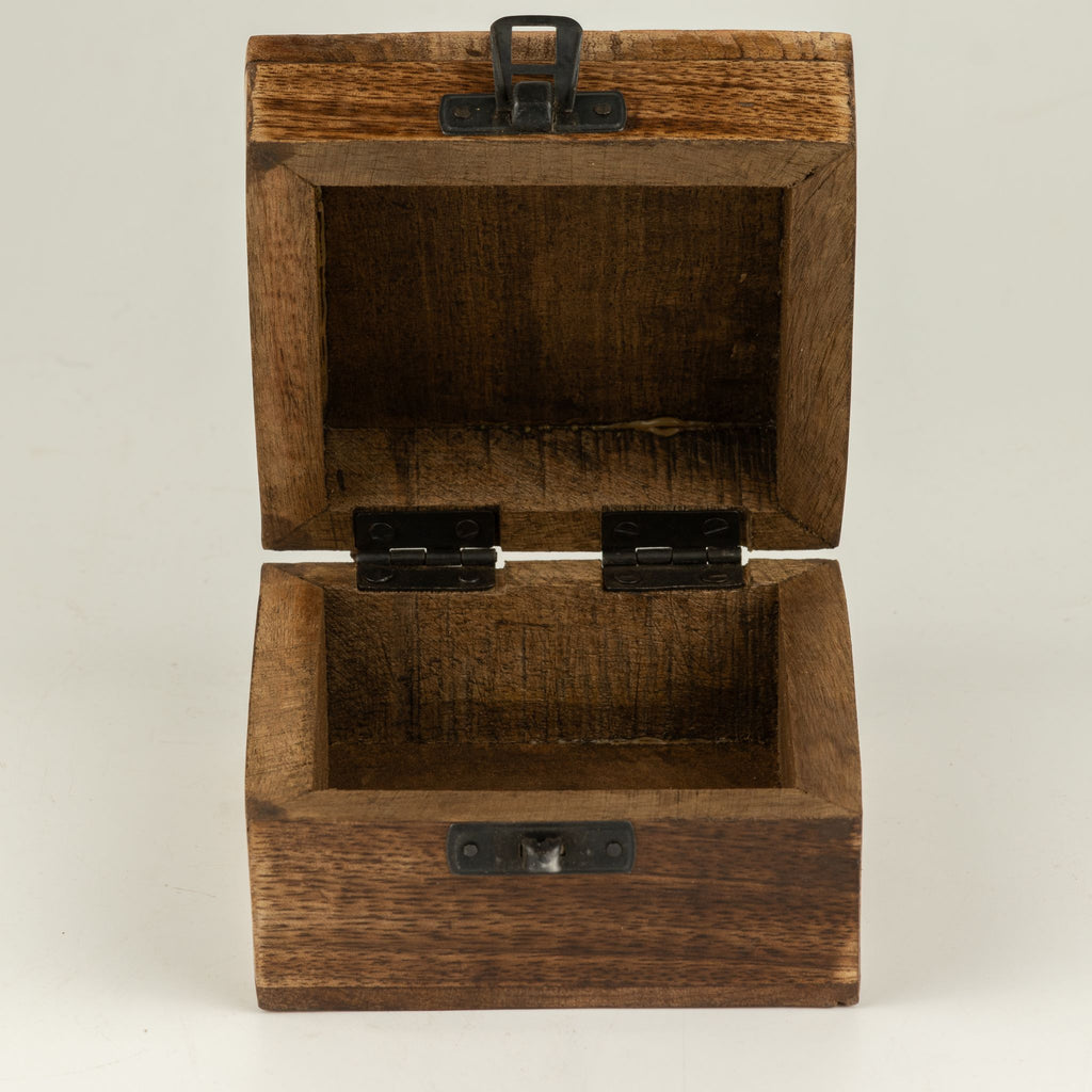 Small Enamelled Box -  Leo