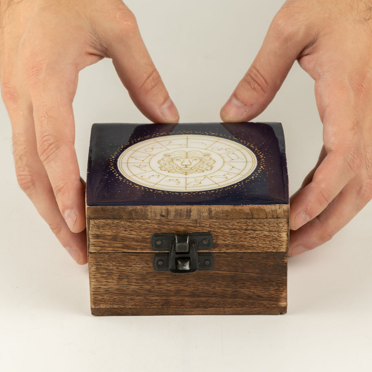 Small Enamelled Box -  Leo